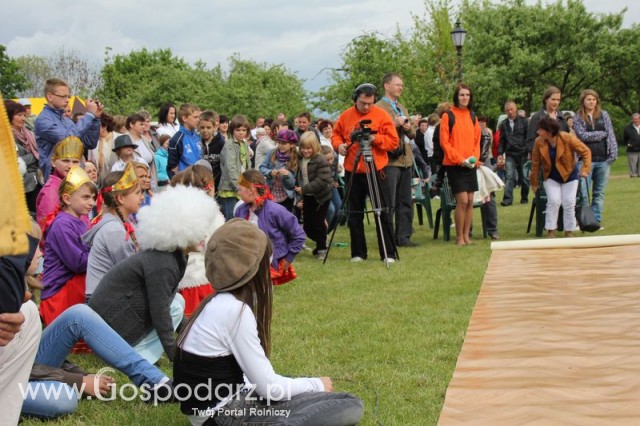 Występy artystyczne odbywające się podczas Dni Indyka