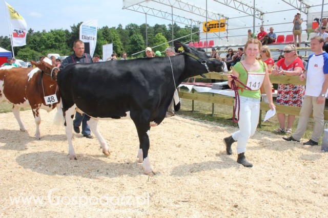 Nagordy dla superchampionów i championów  - 54