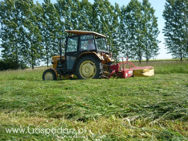 Koszenie na całego;p