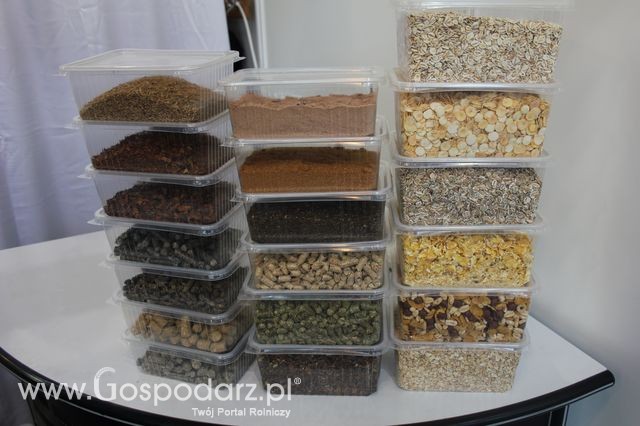 Fotoreportaż  z XI Międzynarodowych Targów Fermy Bydła