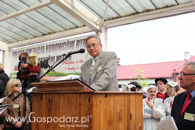 VII Ogólnopolska Wystawa Bydła Hodowlanego - 2