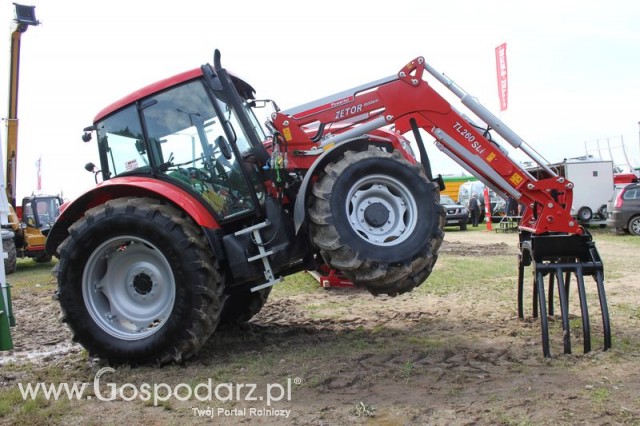 Szepietowo 2012 XIX Regionalna Wystawa Zwierząt Hodowlanych, I Ogólnopolska Wystawa Drobiu oraz Dni z Doradztwem Rolniczym - 119