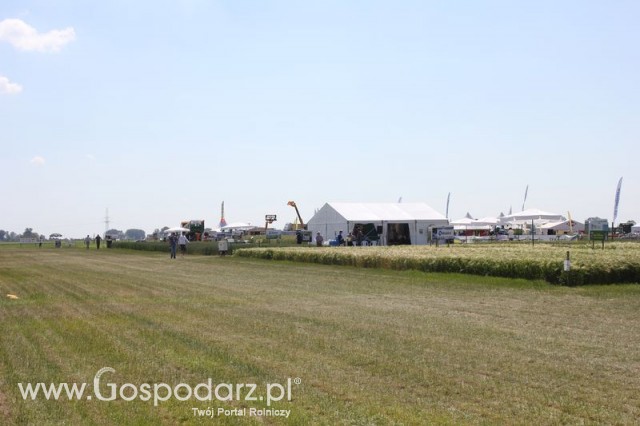 Polskie Zboża 2011 - Sobota