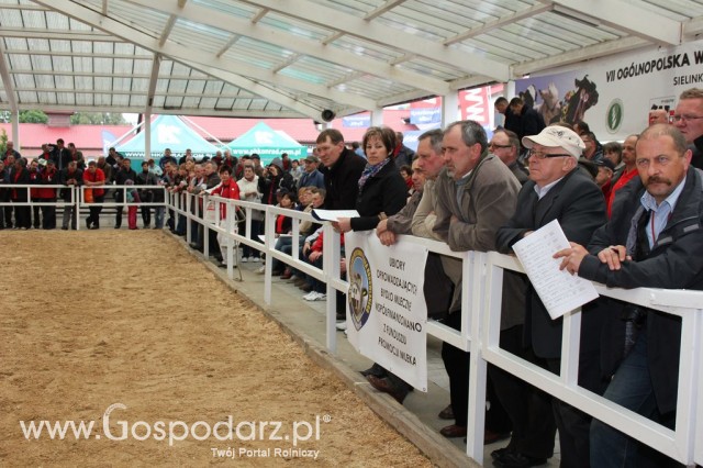 VII Ogólnopolska Wystawa Bydła Hodowlanego - 46