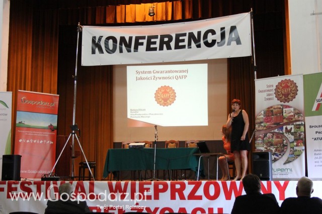 Festiwal Wieprzowiny w Bełżycach/Lublin - 33