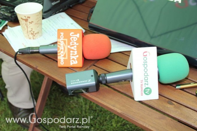 Pierwsze dni indyka w Koźminku