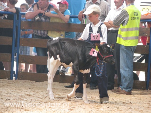 Młody Hodowca - Szepietowo 2012 - 18