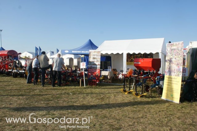 Zdj. - 285 - AGAT Przedsiębiorstwo Wielobranżowe Piotr Jasiński