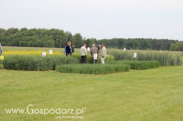 Polskie Zboża Zielone Agroshow - 12