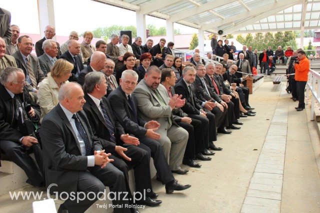 VII Ogólnopolska Wystawa Bydła Hodowlanego - 3