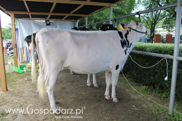 Relacja Foto Agro-Tech Minikowo 2012 - 66