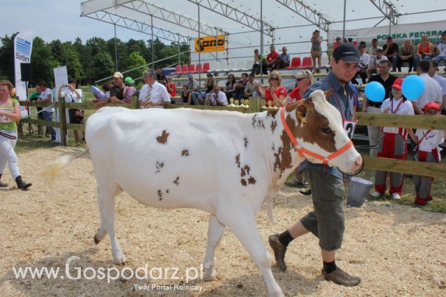 Nagordy dla superchampionów i championów  - 55