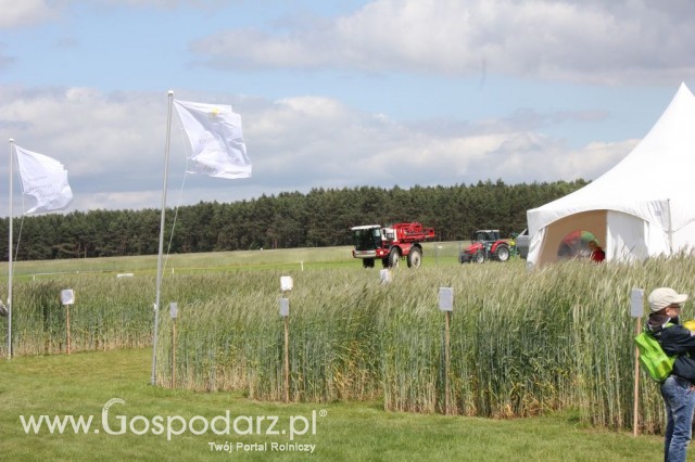 Zielone Agro Show Kąkolewo - Polskie Zboża  - 145