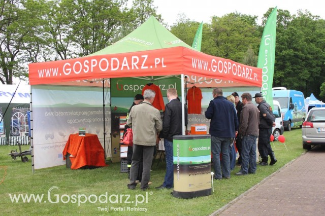 VII Ogólnopolska Wystawa Bydła Hodowlanego - 180