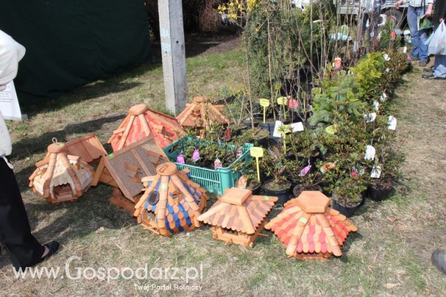 Fotoreportaż z XX Agro-Targów 2011 w Starej Łubiance