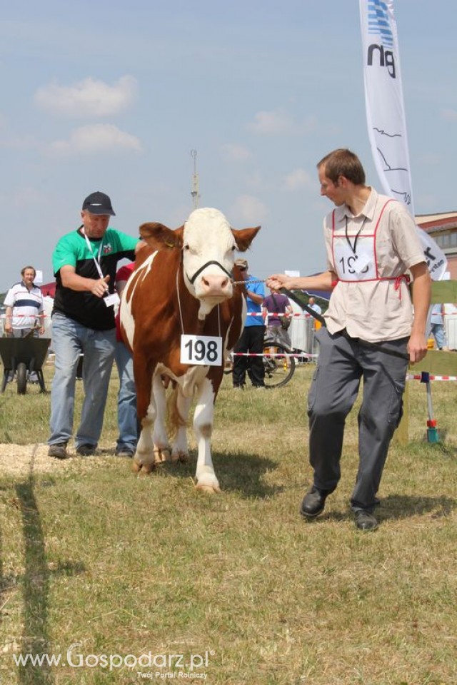 Nagordy dla superchampionów i championów  - 75