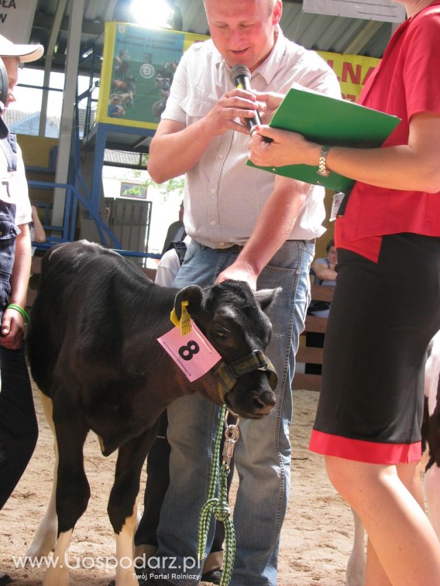Młody Hodowca - Szepietowo 2012 - 57