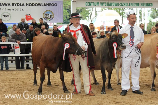 Prezentacja Championów na VII Ogólnopolskiej Wystawie Bydła Hodowlanego w Sielinku 2012 - 24