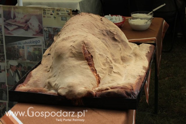 XX Targi Rolnicze Lubniewice