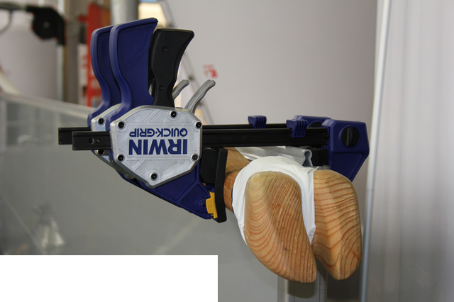 Foto reportaż z Międzynarodowych Targów Hodowli Zwierząt FARMA