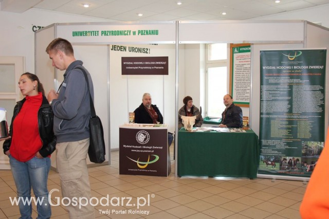 VII Ogólnopolska Wystawa Bydła Hodowlanego - 107