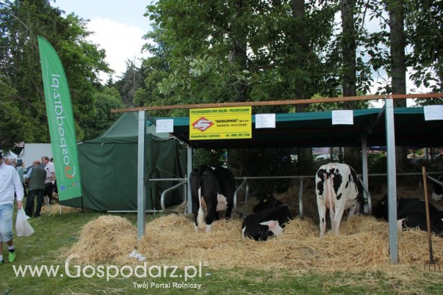 XX Targi Rolnicze Lubniewice 