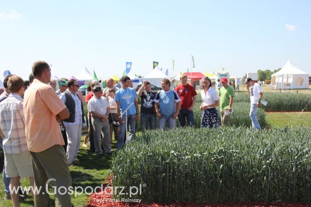 Polskie Zboża 2011 - Sobota