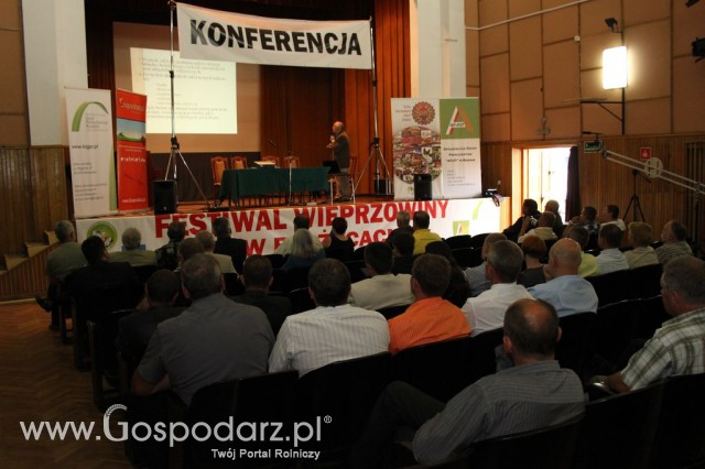 Festiwal Wieprzowiny w Bełżycach/Lublin - 11