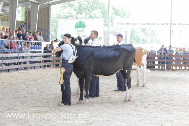 Bydło - Szepietowo 2012 XIX Regionalna Wystawa Zwierząt Hodowlanych - 80