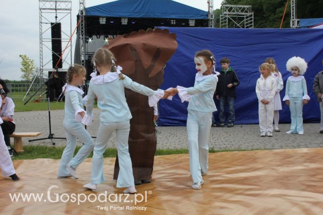 Występy artystyczne odbywające się podczas Dni Indyka