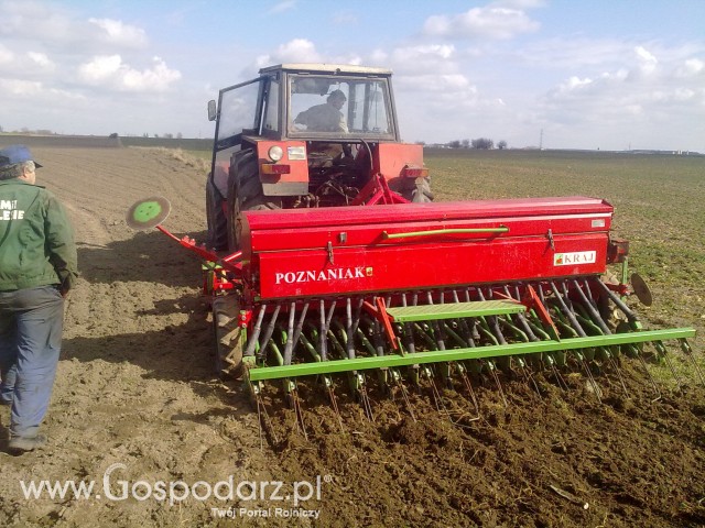 Akcja siew 2012 - 13