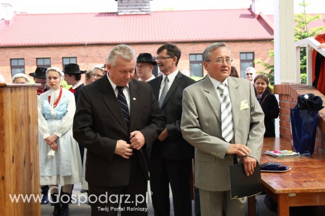 VII Ogólnopolska Wystawa Bydła Hodowlanego - 6