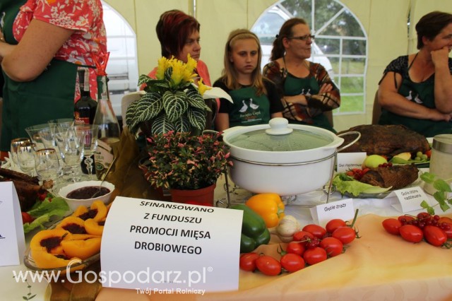 IX Święto Gęsi w Biskupcu - 49