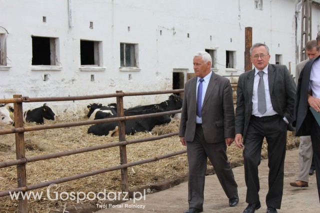 V Międzynarodowe Targi Ogrodnicze Gardenia 2011