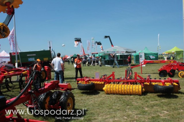 Polskie Zboża 2011