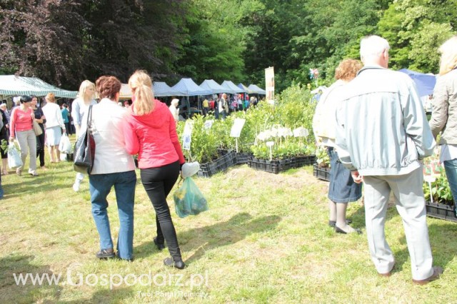 XX Targi Rolnicze Lubniewice