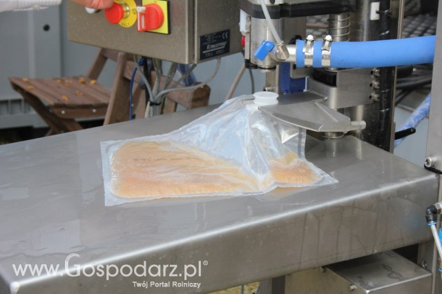 XXII Targi Rolniczo-Ogrodnicze Kościerzyn 2012 - 71