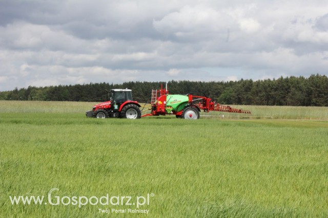 Zielone Agro Show Kąkolewo - Polskie Zboża  - 91