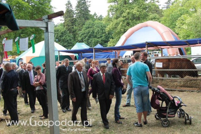 XX Targi Rolnicze Lubniewice