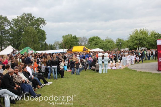 Występy artystyczne odbywające się podczas Dni Indyka