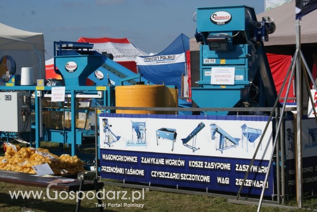 Zdj. - 29 - DOMASZ TOMASZ WALIGÓRA