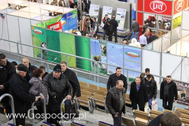XII Międzynarodowe Targi FERMA BYDŁA i XV Międzynarodowe Targi FERMA ŚWIŃ i DROBIU - 33