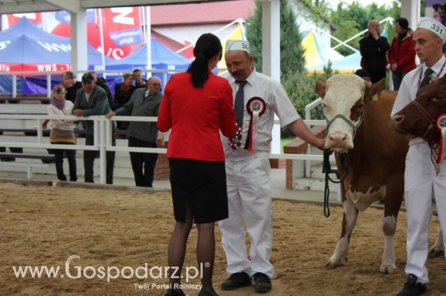 Prezentacja Championów na VII Ogólnopolskiej Wystawie Bydła Hodowlanego w Sielinku 2012 - 53