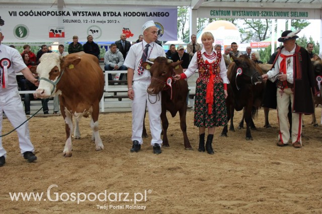 Prezentacja Championów na VII Ogólnopolskiej Wystawie Bydła Hodowlanego w Sielinku 2012 - 31