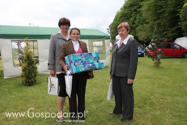 Występy artystyczne odbywające się podczas Dni Indyka