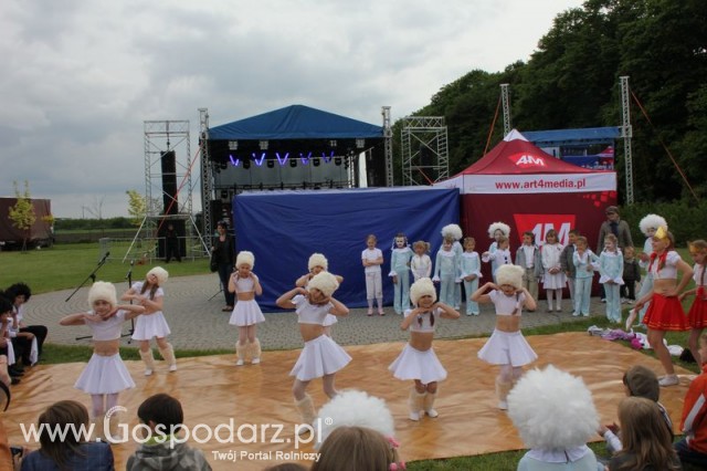 Występy artystyczne odbywające się podczas Dni Indyka