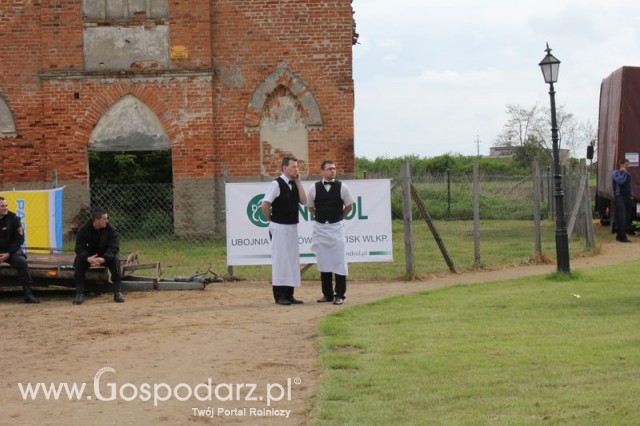 Występy artystyczne odbywające się podczas Dni Indyka