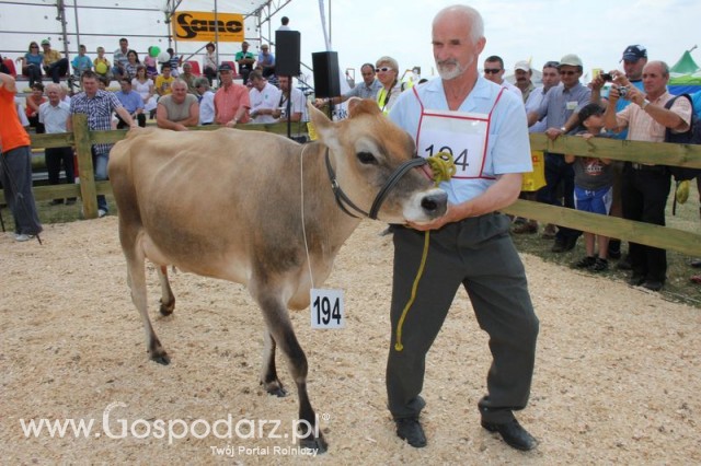 Nagordy dla superchampionów i championów  - 31