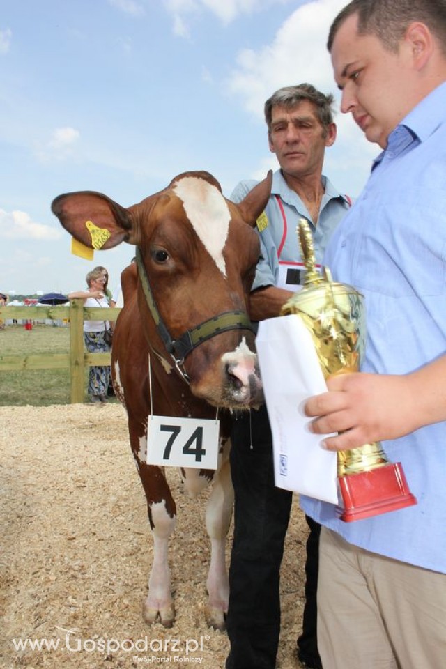 Nagordy dla superchampionów i championów  - 61