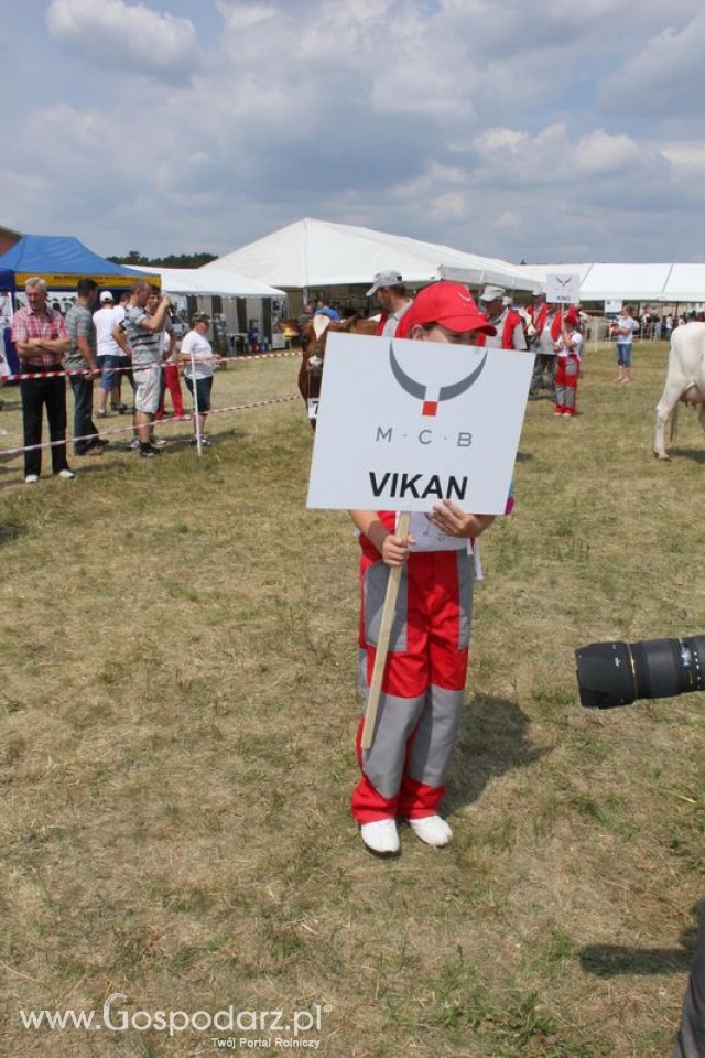 Konkurs Młodego Hodowcy - 9